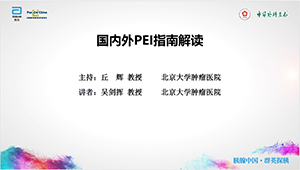 【第二期】国内外PEI指南解读